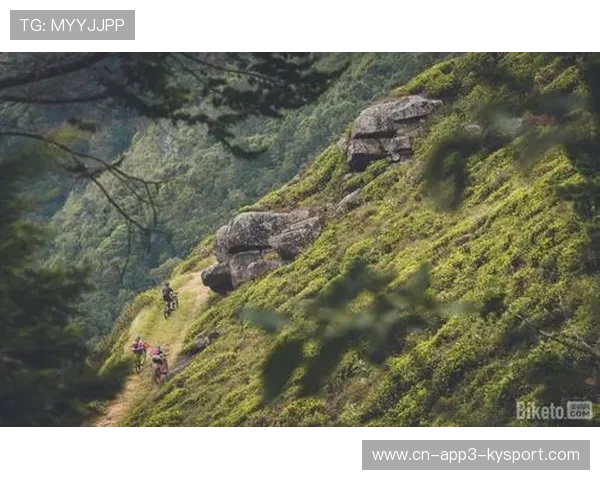 山地火车战术成多日赛关键，珍宝车队经典案例入选UCI教练培训教材